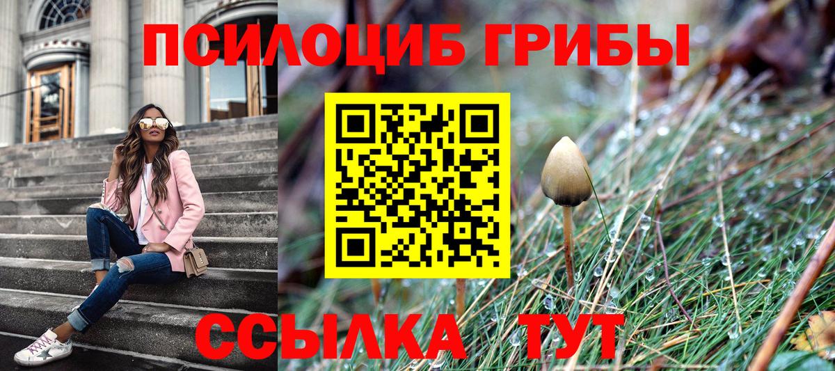Конопля  LSD-25  Где купить наркотики?  A-PVP СК кристаллы  АМФЕТАМИН кристаллы  Гашиш  Вход с VPN  Меф кристаллы  Курчатов  COCAIN  ГАШИШ  NBOMe 