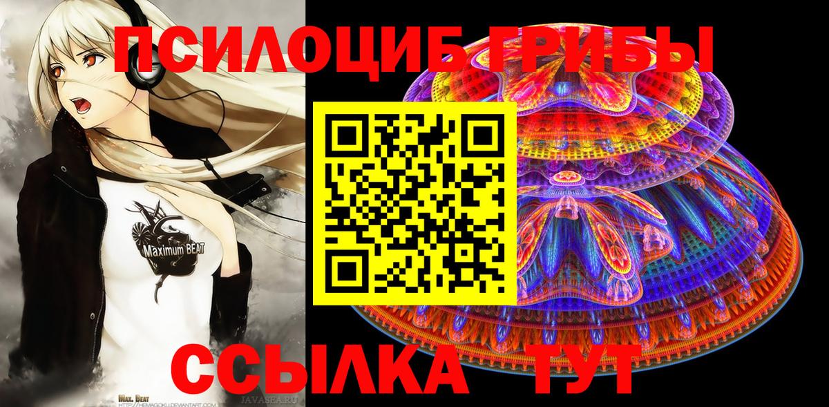 Псилоцибиновые грибы GOLDEN TEACHER  Вход с VPN  Курчатов 