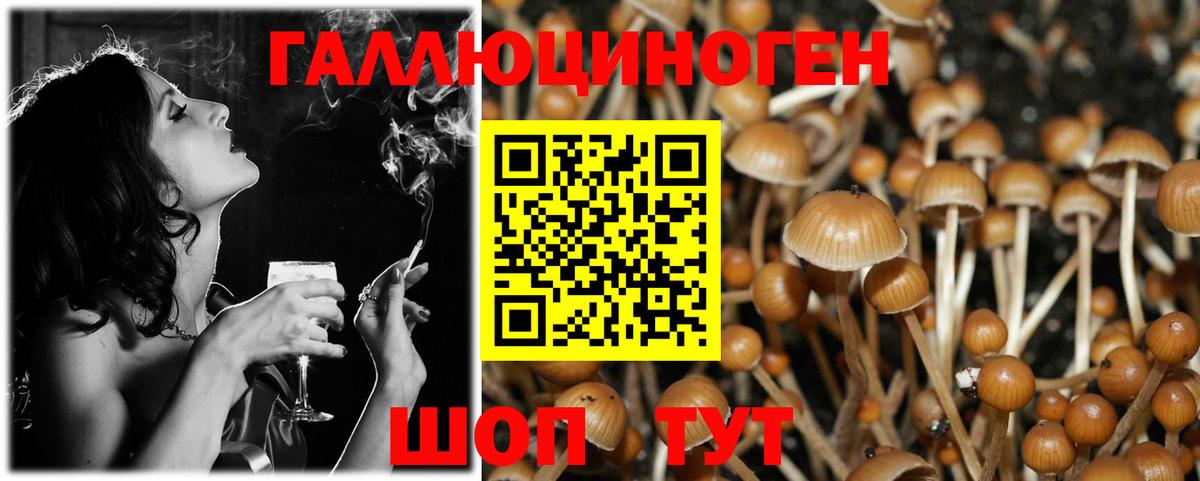 Псилоцибиновые грибы мухоморы Курчатов